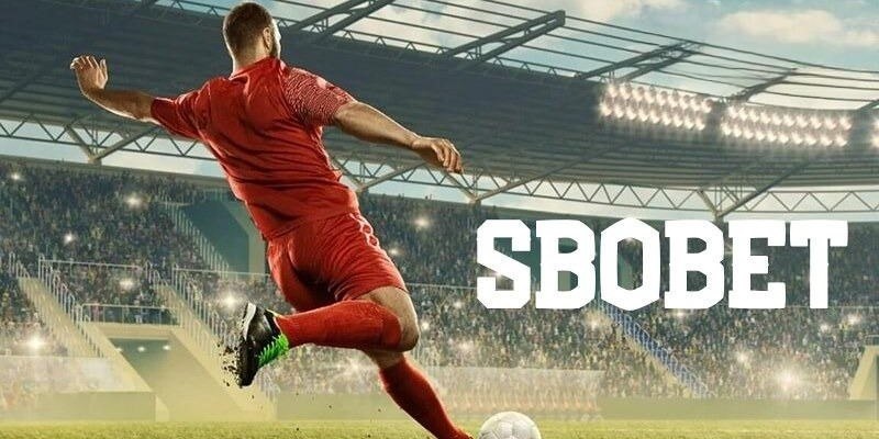 SBOBET SV88 – Cá Cược Thể Thao Hấp Dẫn Với Công Nghệ Hiện Đại